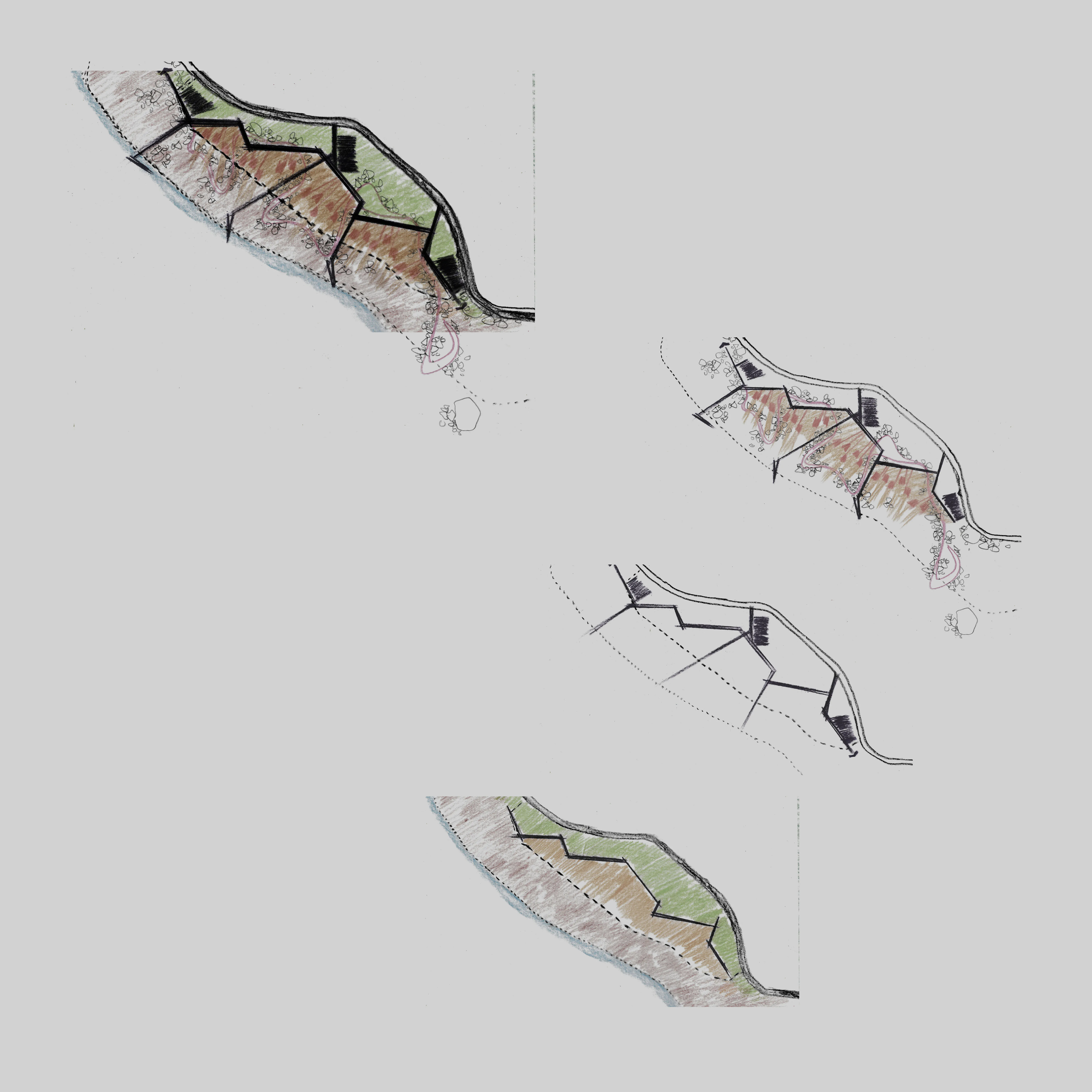 Variation - Thiết kế kiến trúc đa dạng